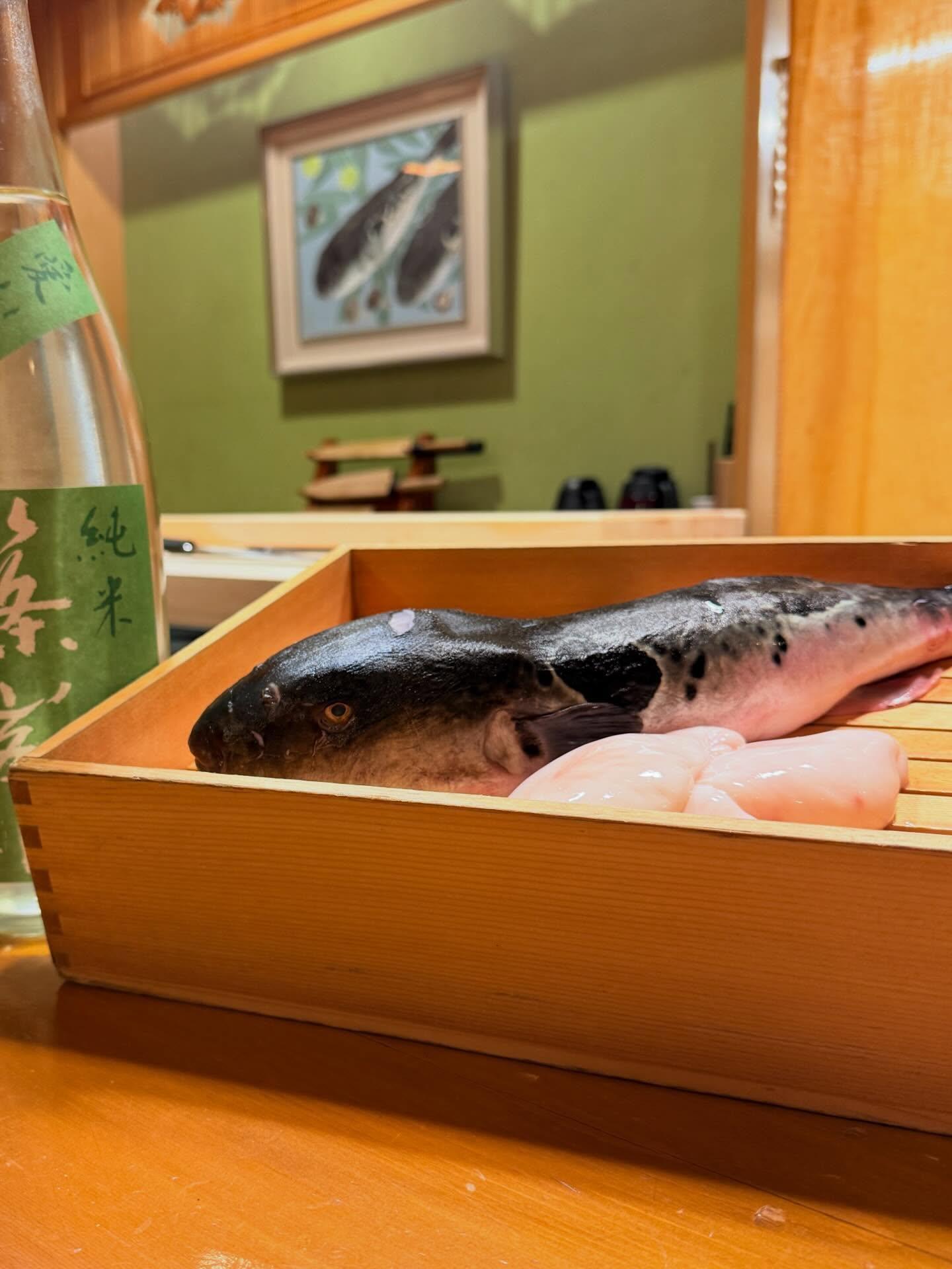 こんばんは