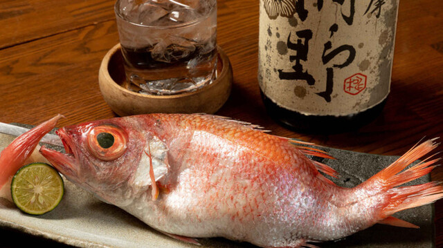 銀座で楽しむ!のどぐろ料理を味わう贅沢な飲み放題付きコースプラン