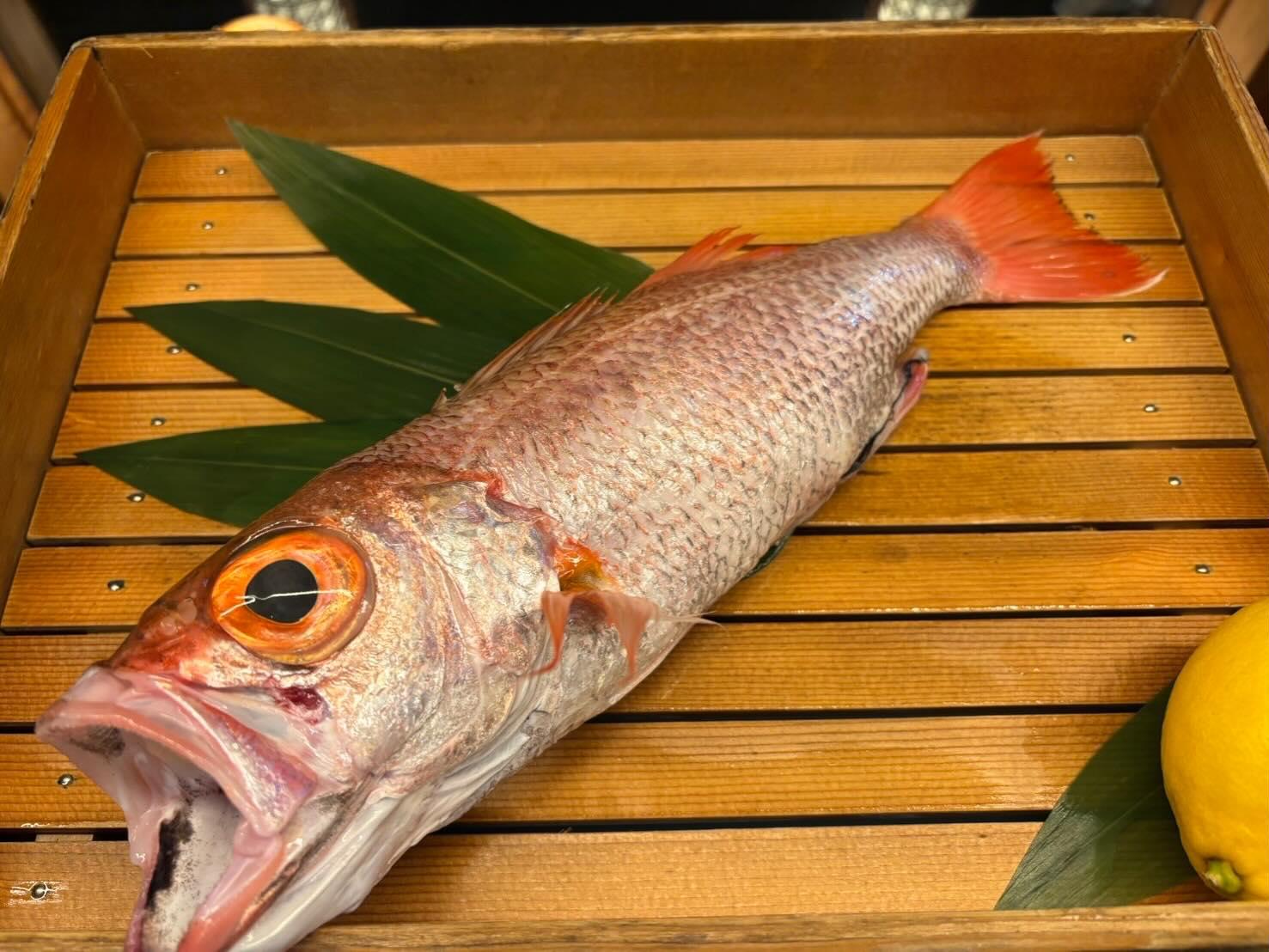 【銀座×海鮮×個室】