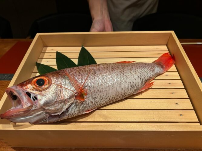 銀座で味わう贅沢のどぐろデイナーをカウンター席で楽しみませんか？