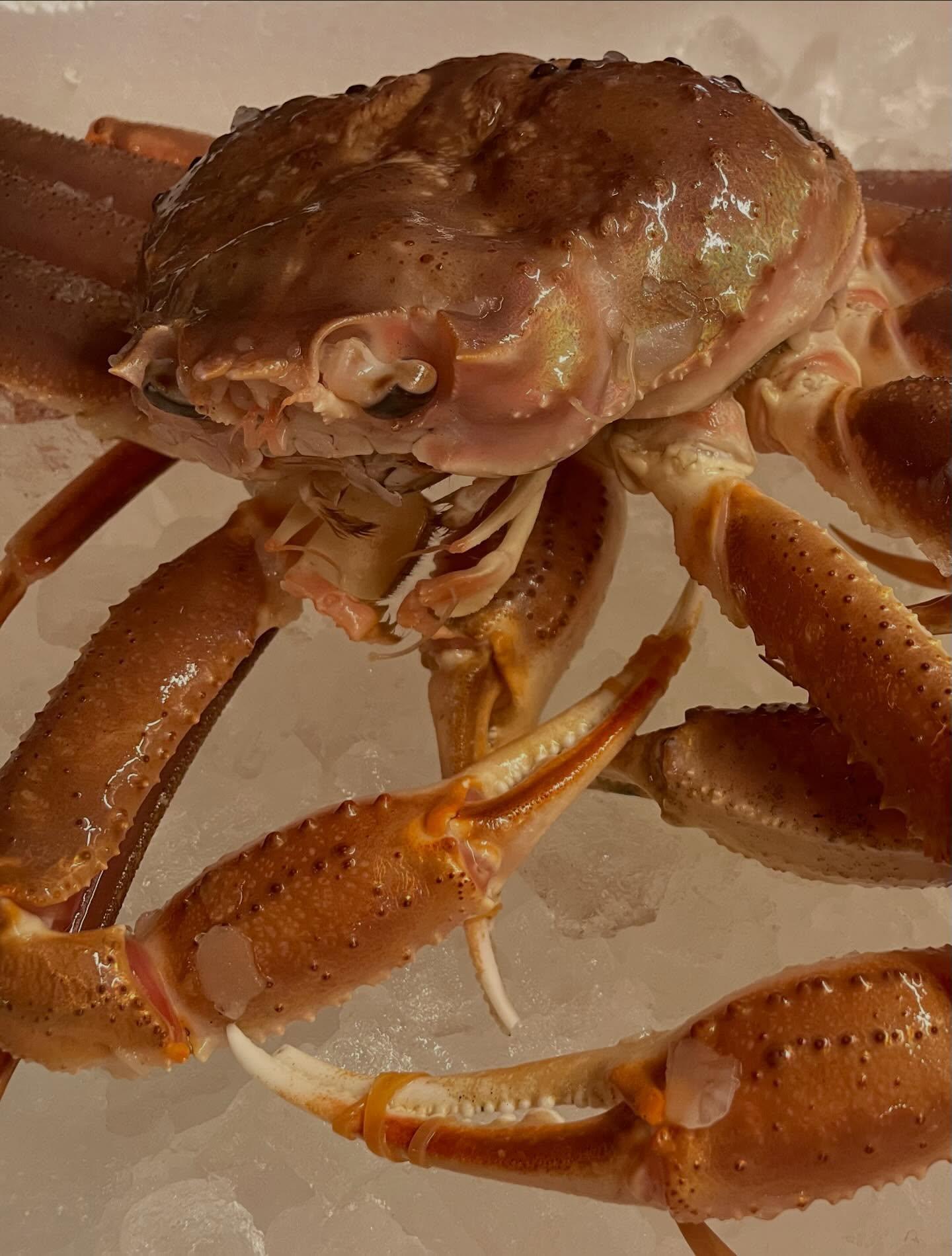 【本日も“蟹”ご用意ございます】