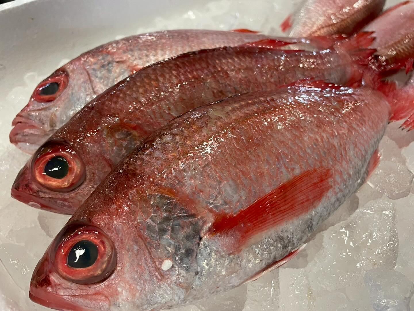 〜のどぐろコース〜