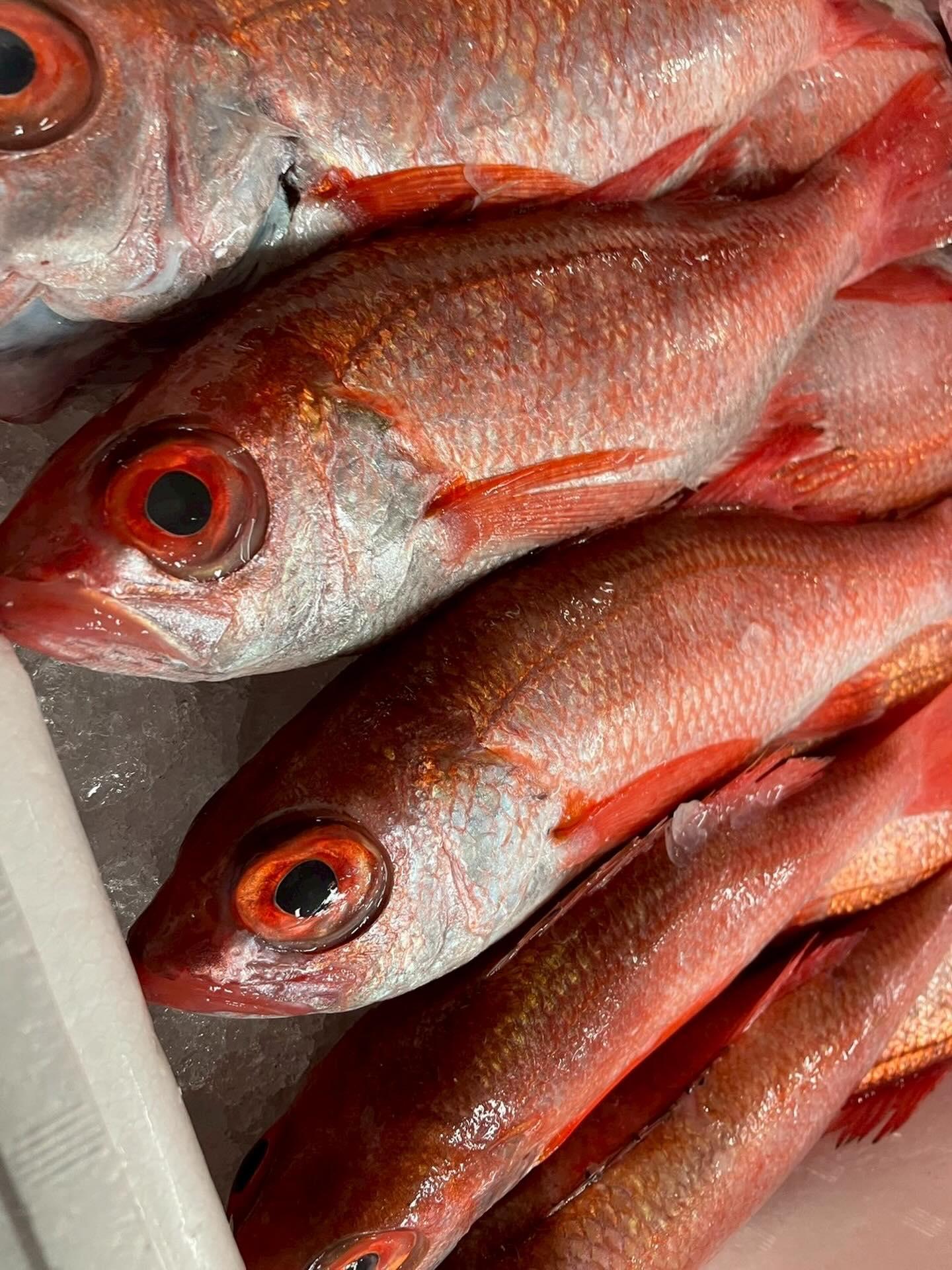 〜のどぐろコース〜