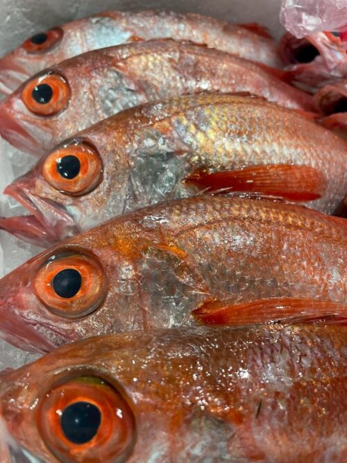 八丁堀で贅沢海鮮ディナーを…中俣酒造 茂助の鮮魚料理で特別な夜に乾杯