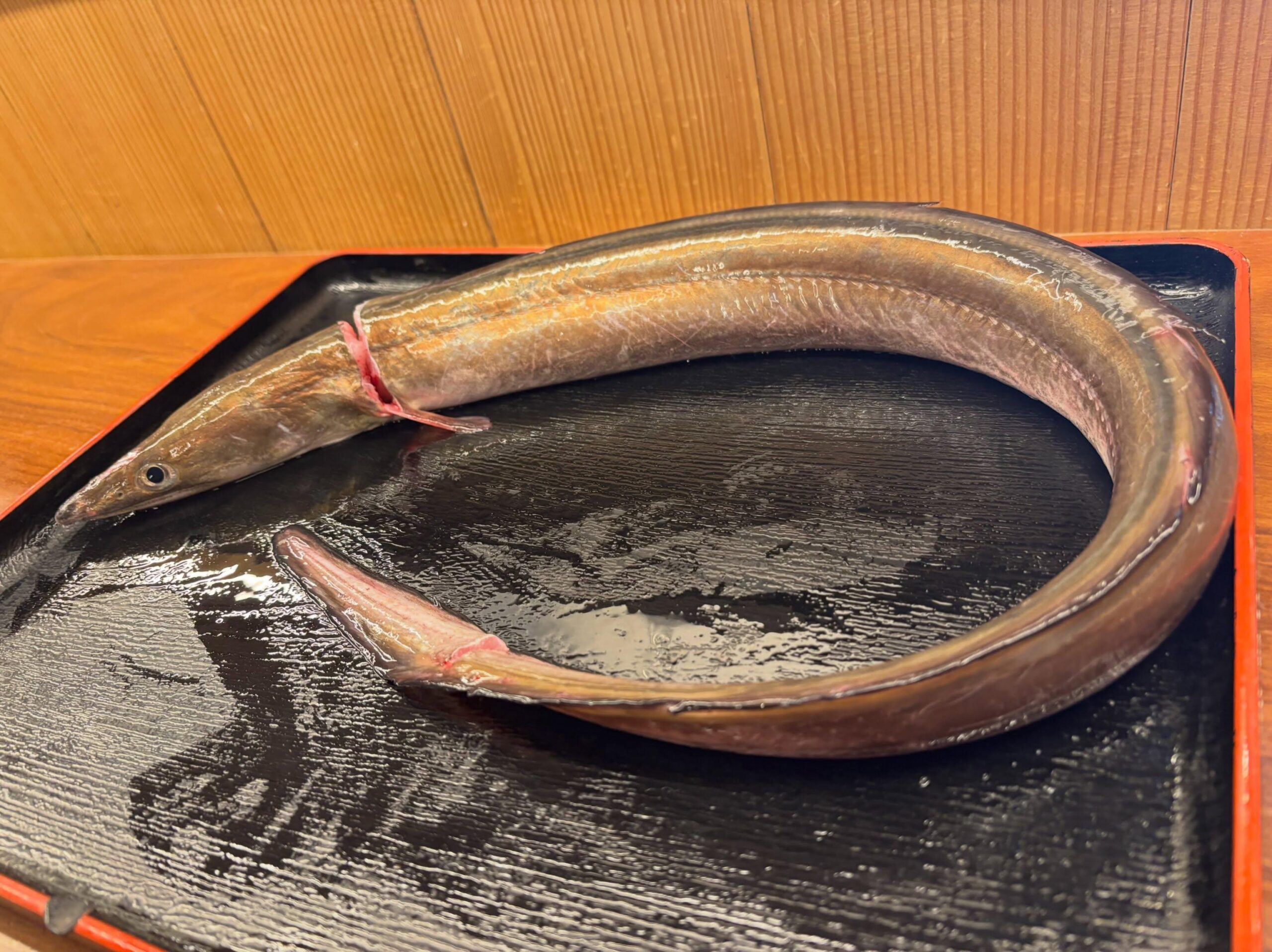 こんにちは♪