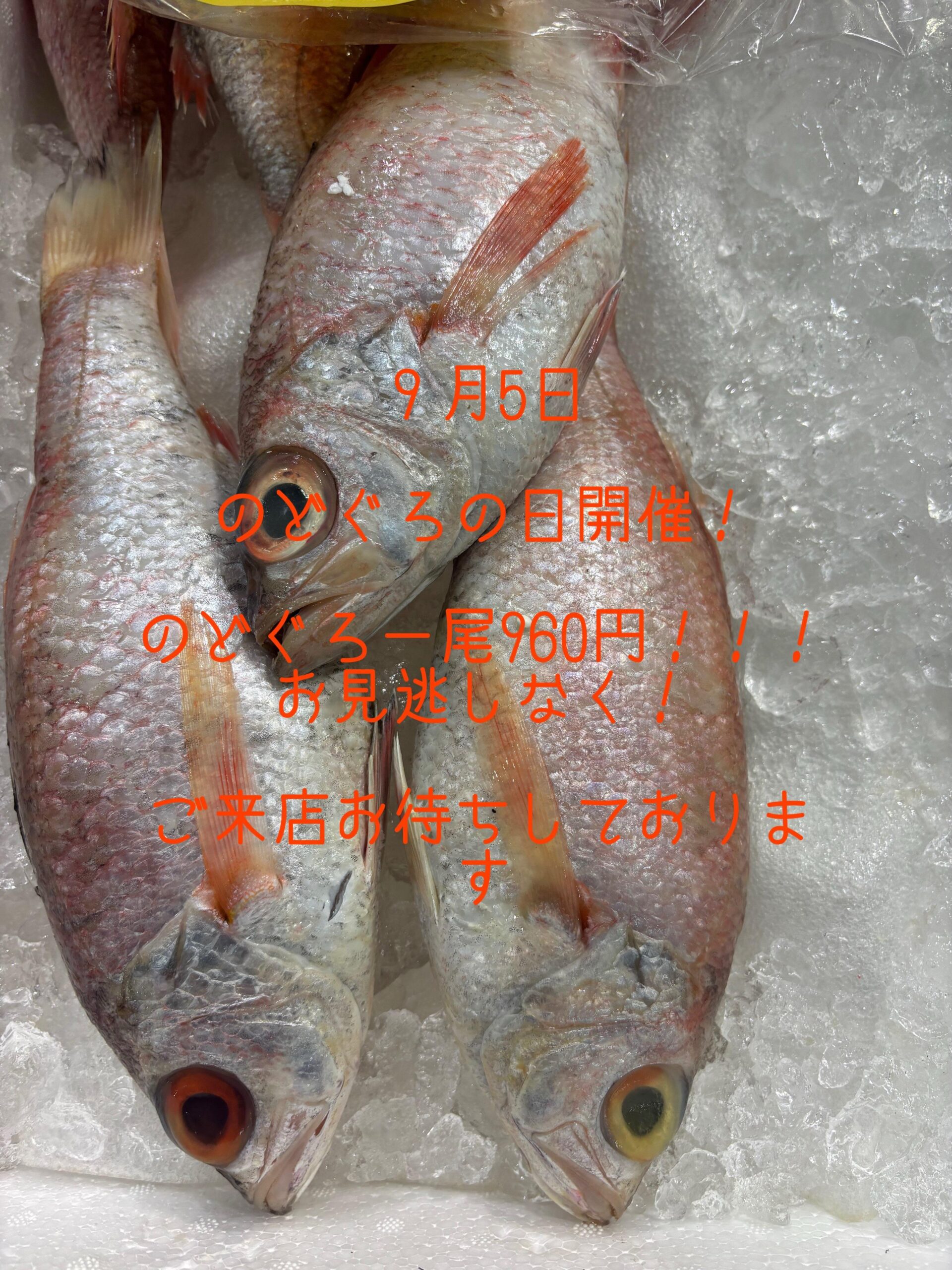 こんにちわ!中俣酒造茂助です。
