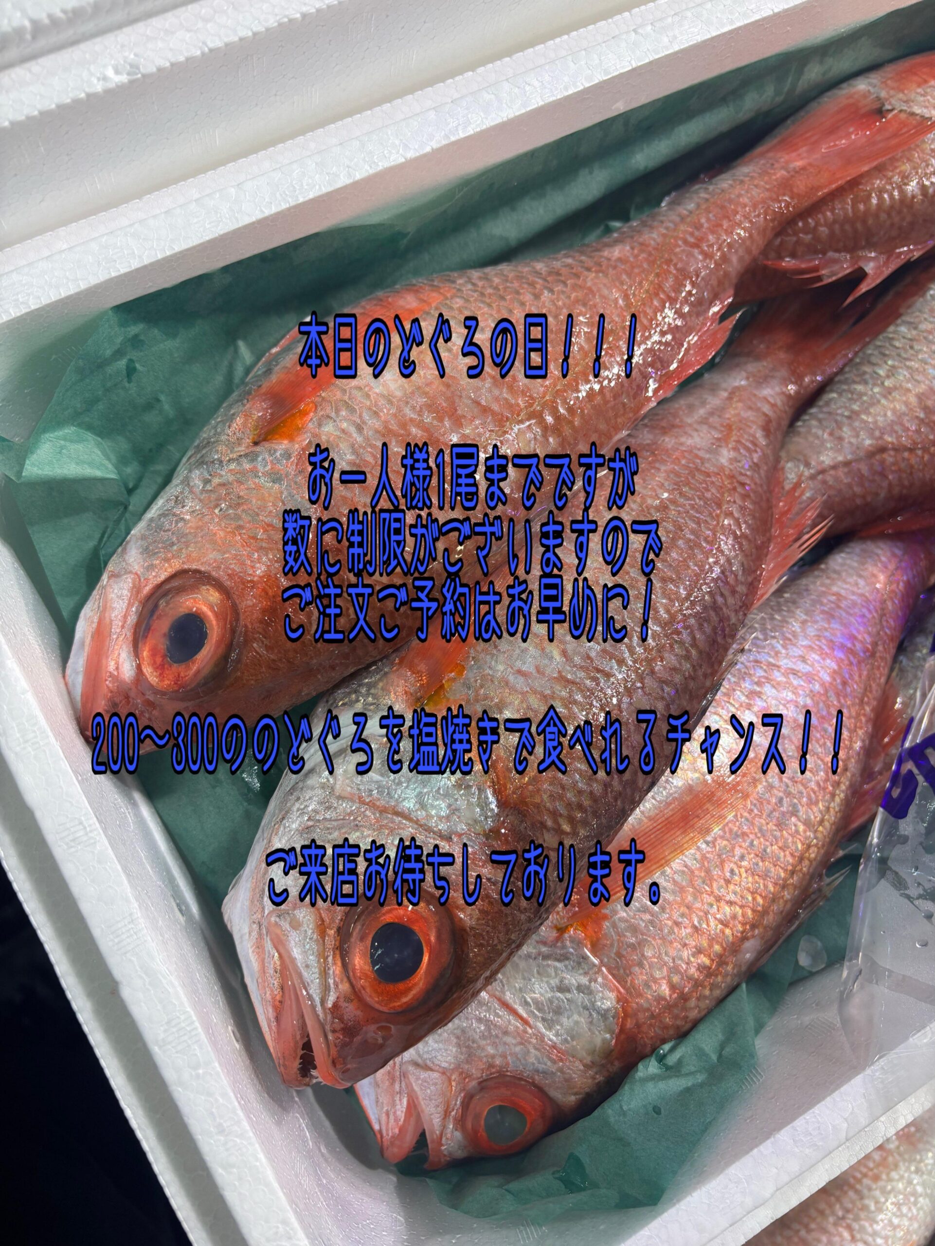 こんにちは