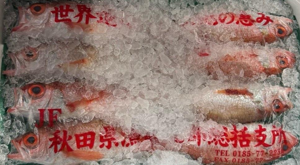 こんにちは、中俣酒造茂助です。