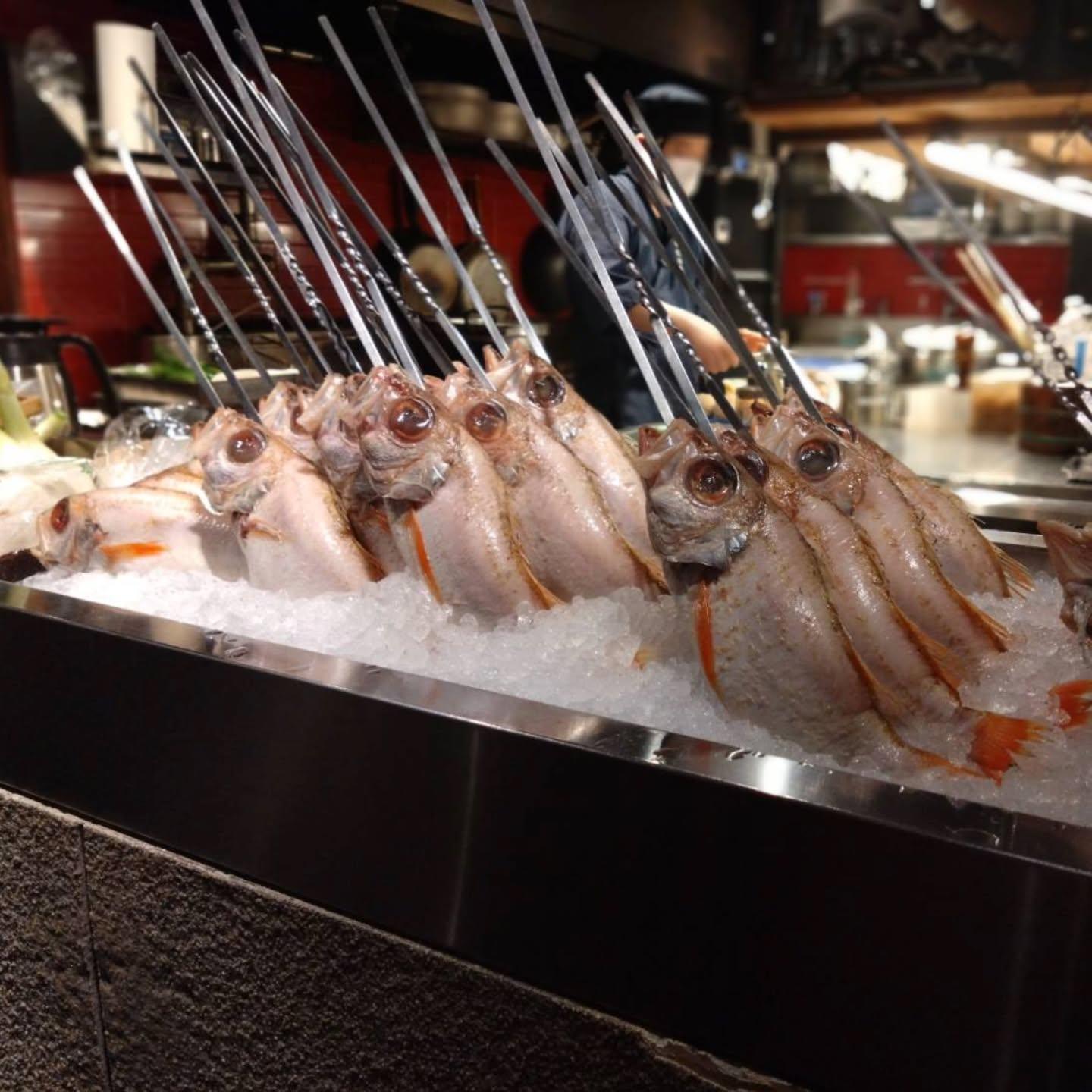 のどぐろの中俣築地です！