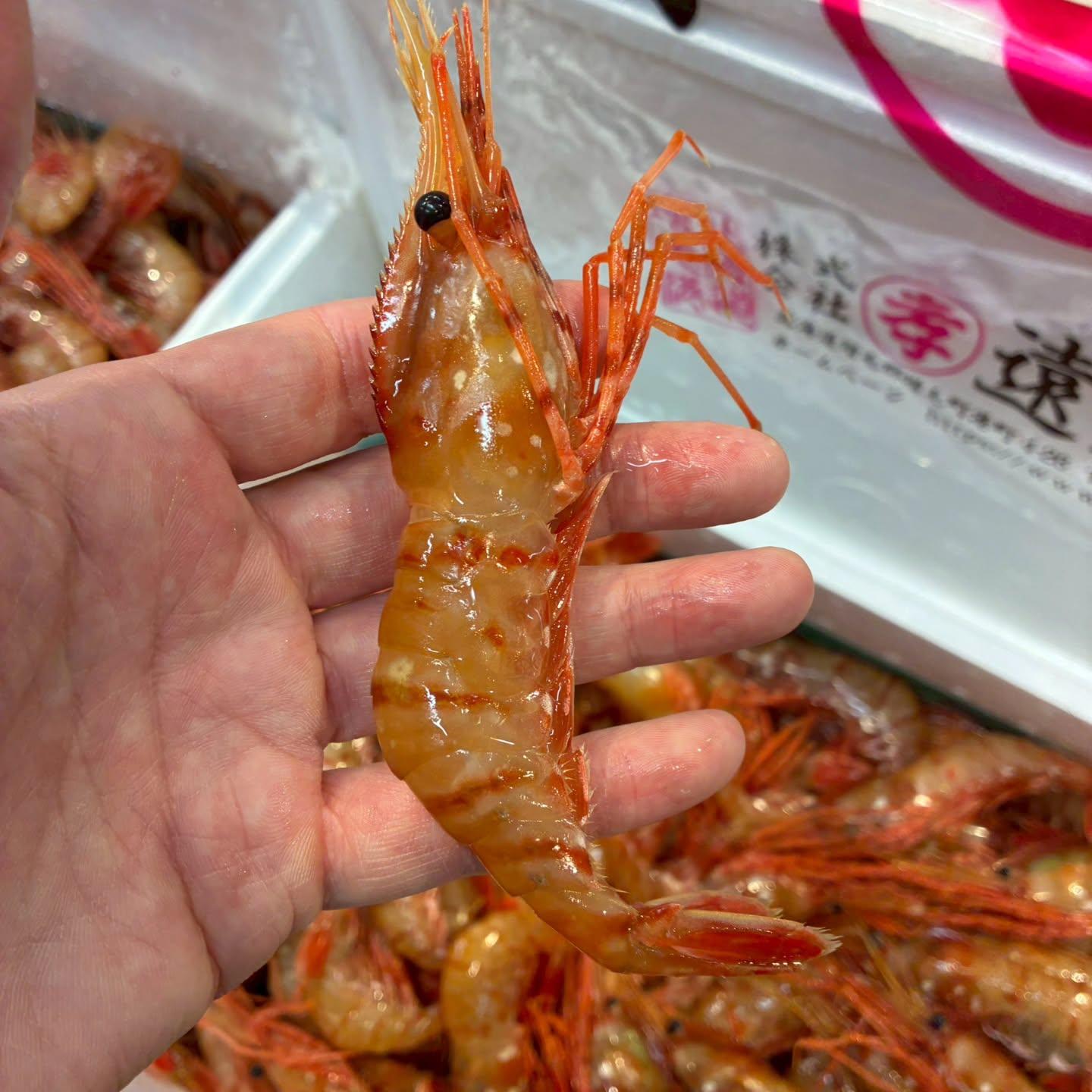 のどぐろの中俣築地です！