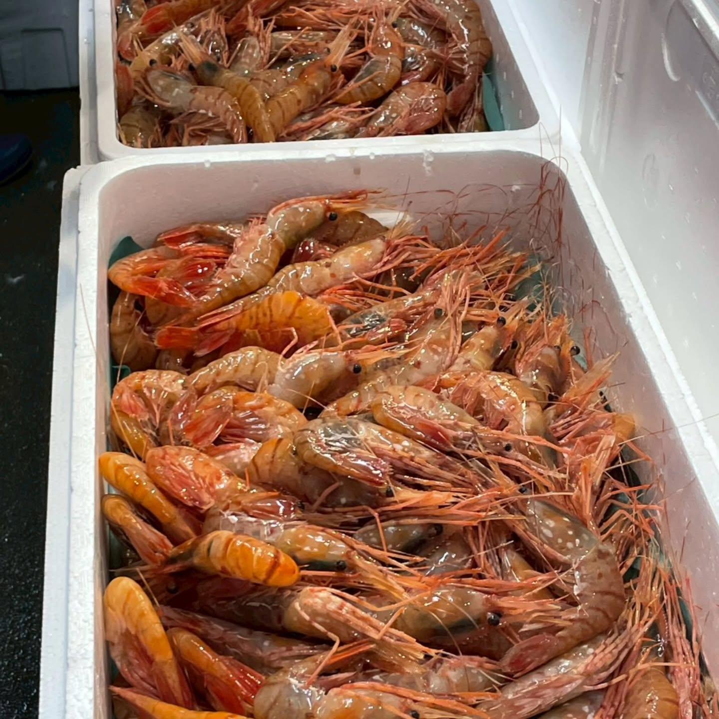 のどぐろの中俣築地です！