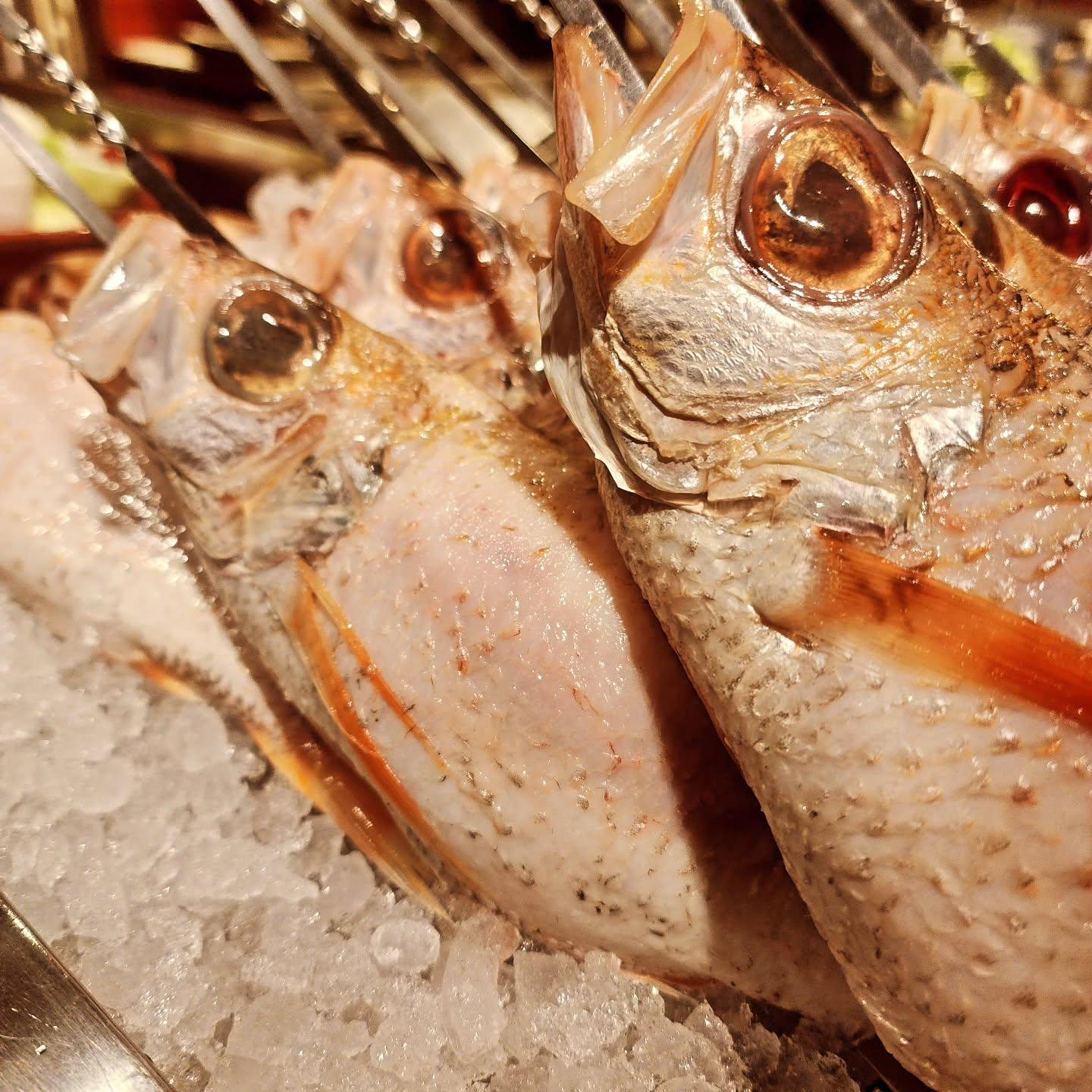 のどぐろの中俣築地です！