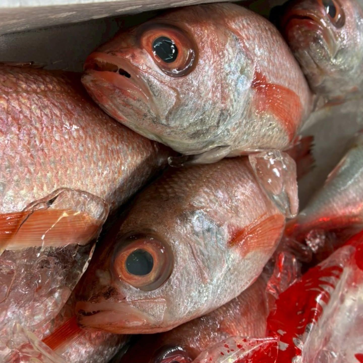 のどぐろの中俣築地です!