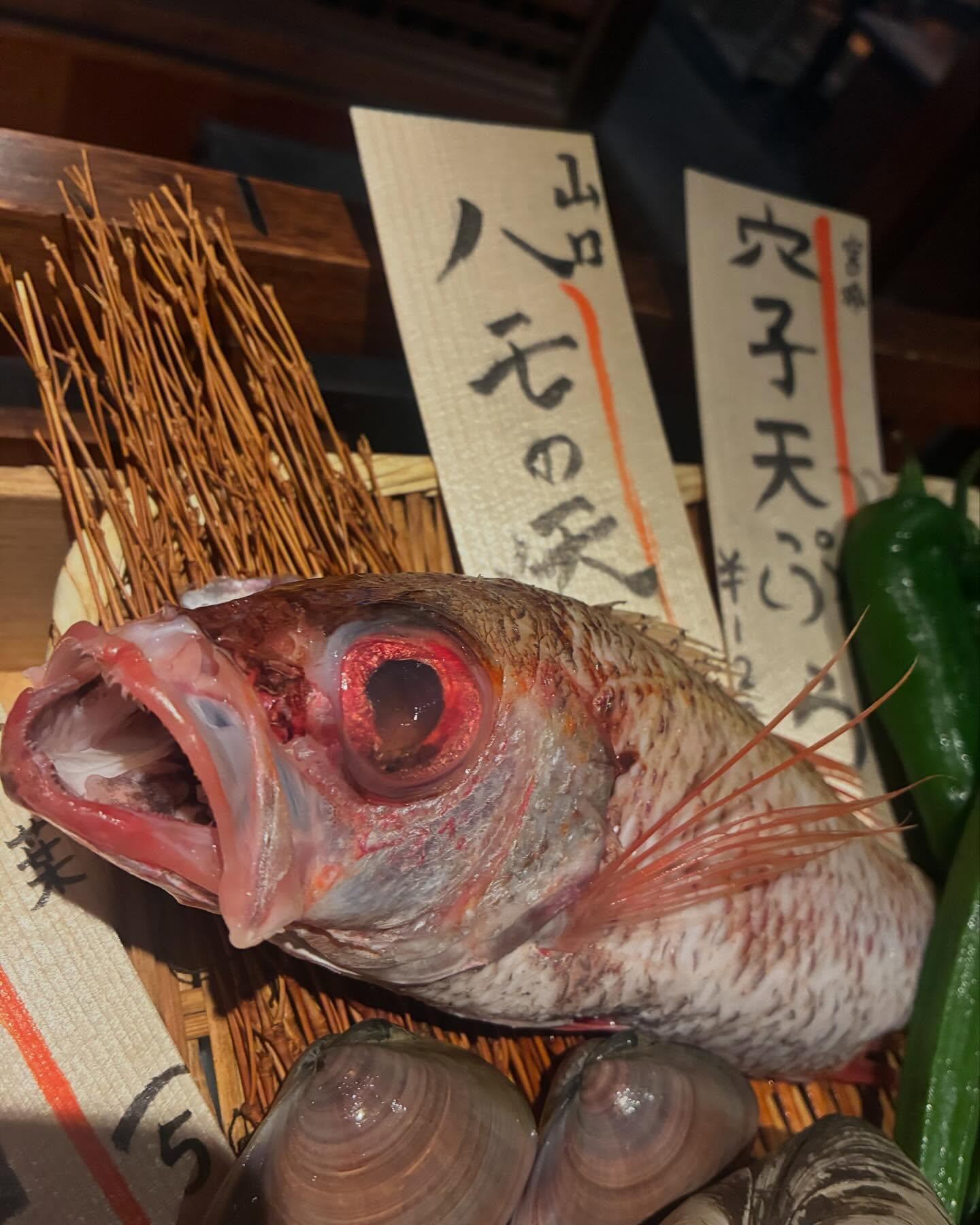 のどぐろ中俣　築地です！