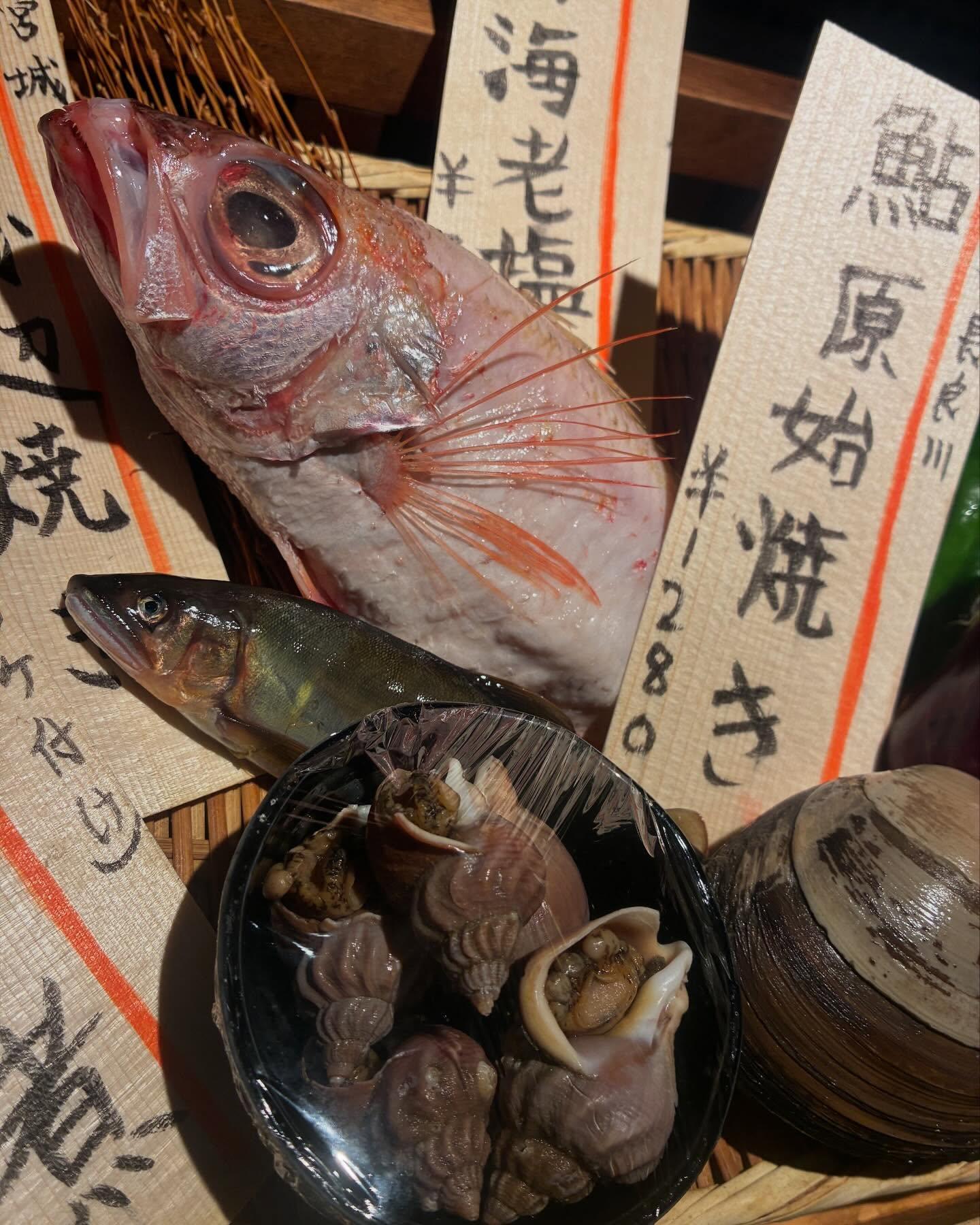 のどぐろ中俣 築地です!