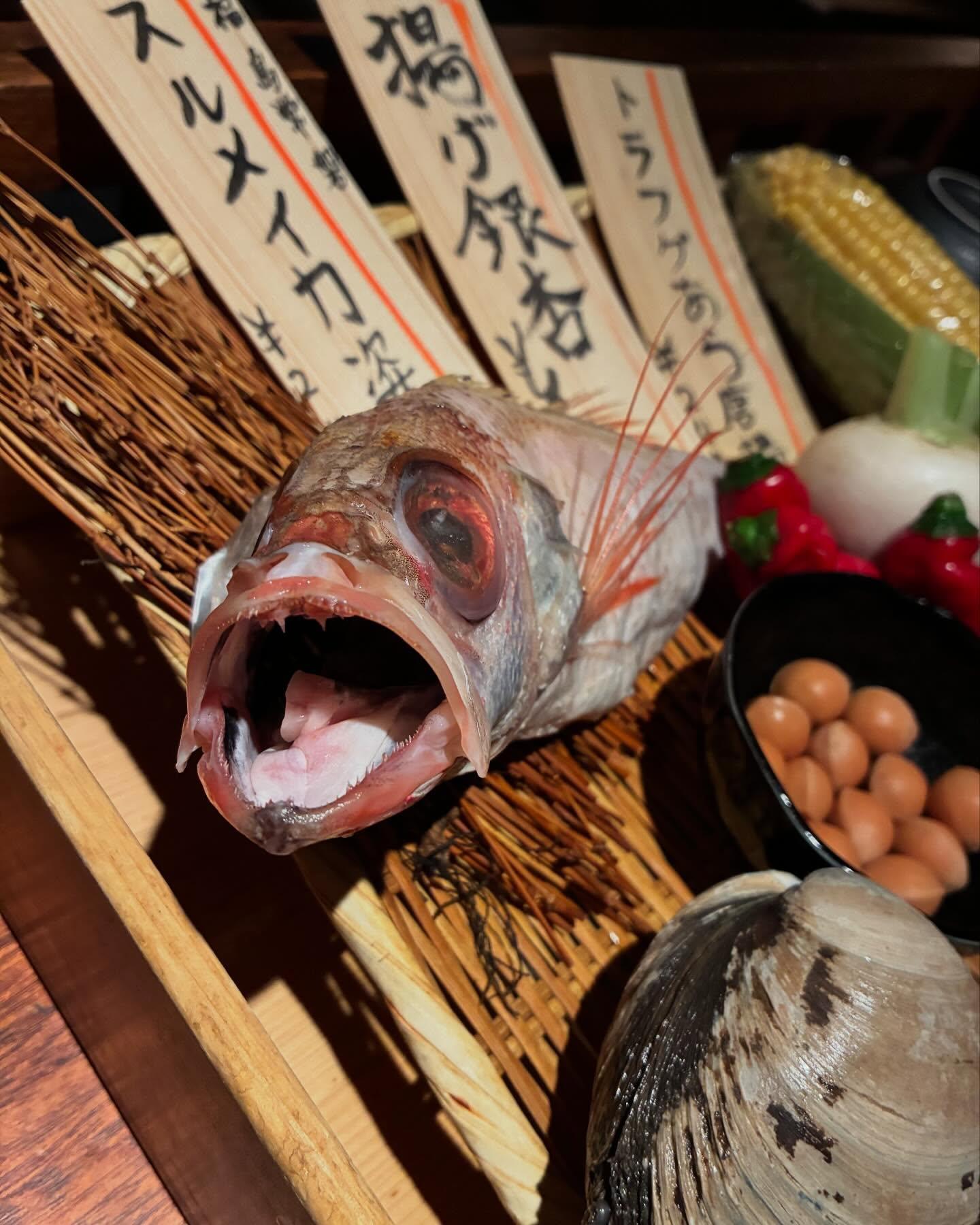 のどぐろの中俣　築地です！