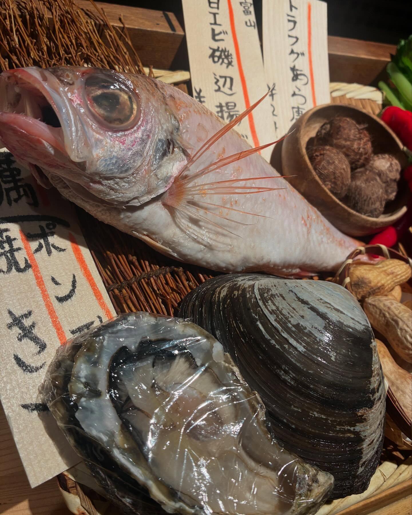 のどぐろの中俣　築地です。