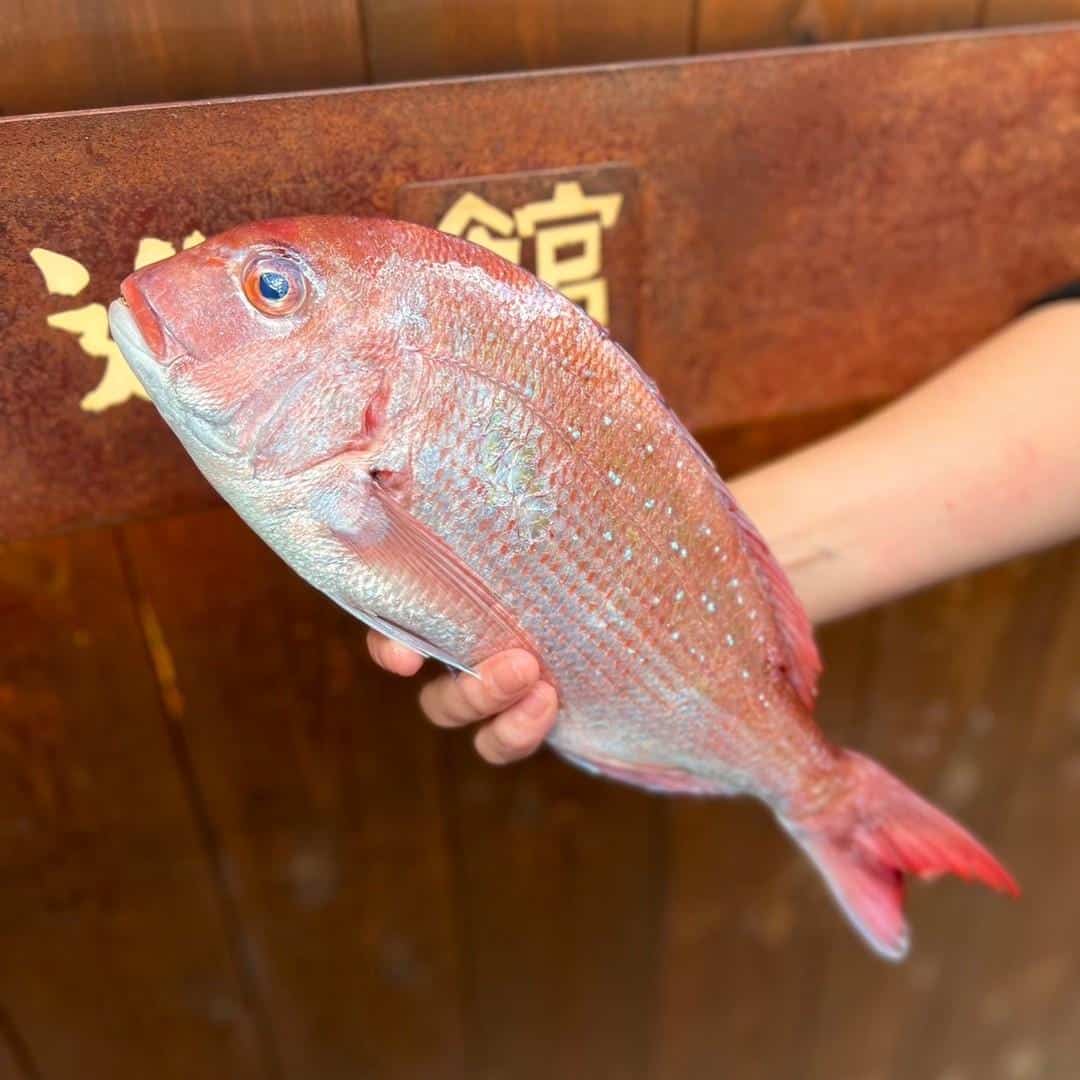 Buy Fresh Tai Snapper Whole Online - Exquisite Pink Sea Bream