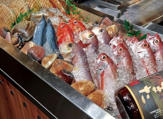 八丁堀で味わう！中俣酒造 館の「のどぐろ原始焼き」で堪能する魚料理の魅力