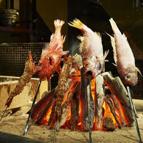 八丁堀駅から徒歩2分！特大のどぐろの原始焼きを堪能する至福の時間